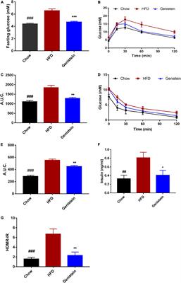 Genistein protects against hyperglycemia and fatty liver disease in diet-induced prediabetes mice via activating hepatic insulin signaling pathway